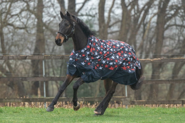 Highneckdecke Norwich Stars 600D mit Fleecefutter