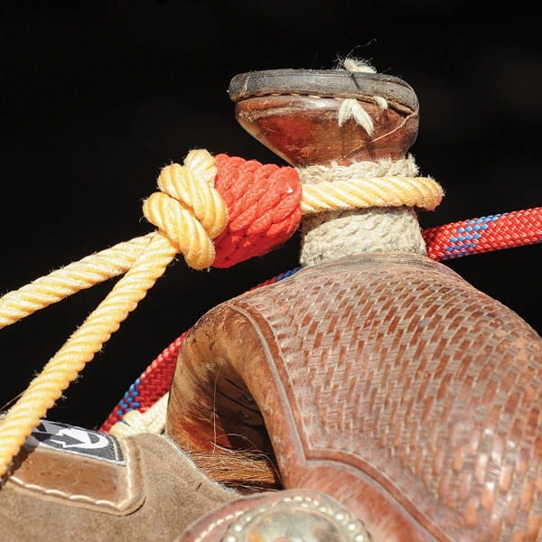 Rattler Rope Horn Knot