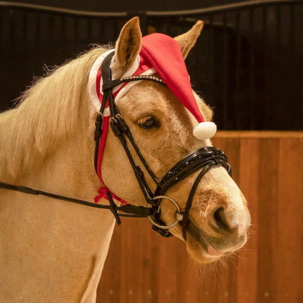Weihnachtsmütze Pferd