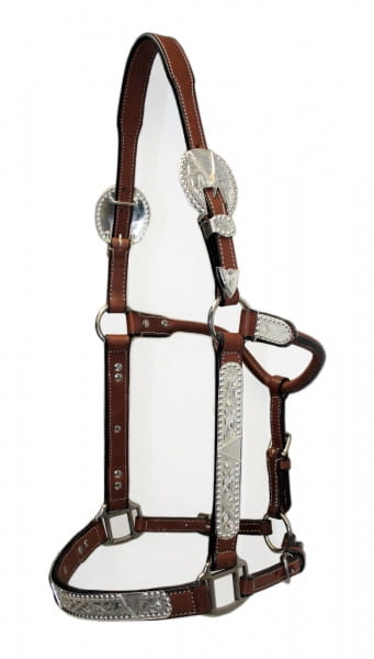Showhalter EE Cob Silver braun