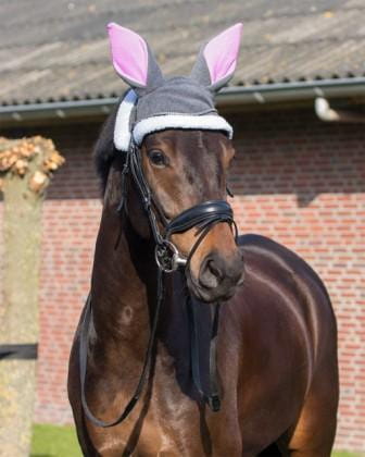 Easter Bunny Pferdeohrenhaube