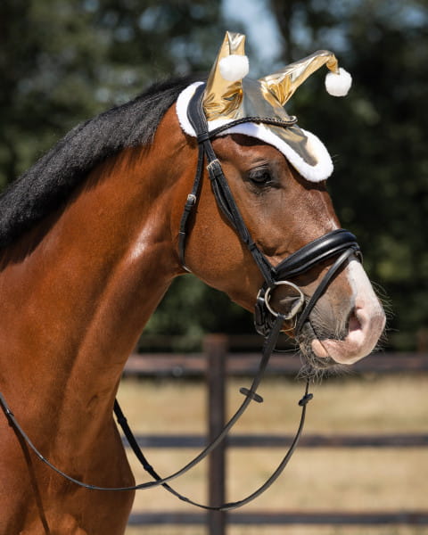 Ohrenhaube Santa gold