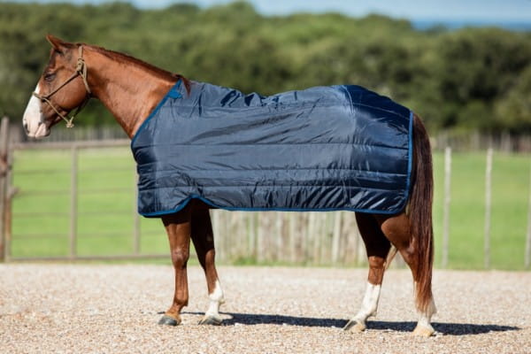 Horseware Liner 200G