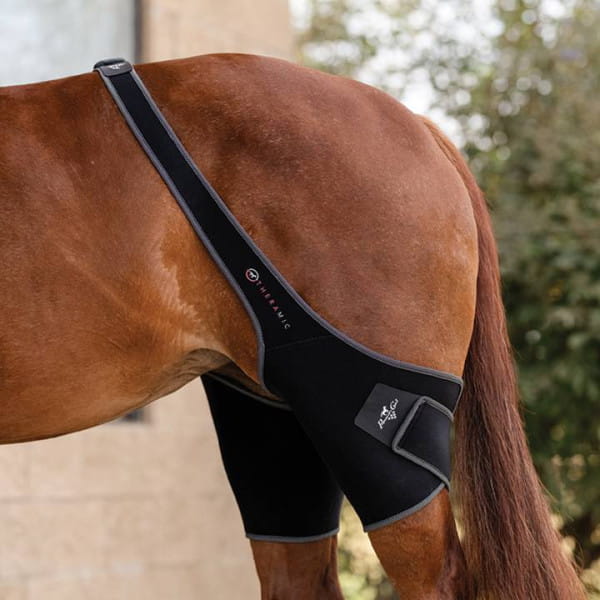 ProfChoice Theramic Stifle Wrap