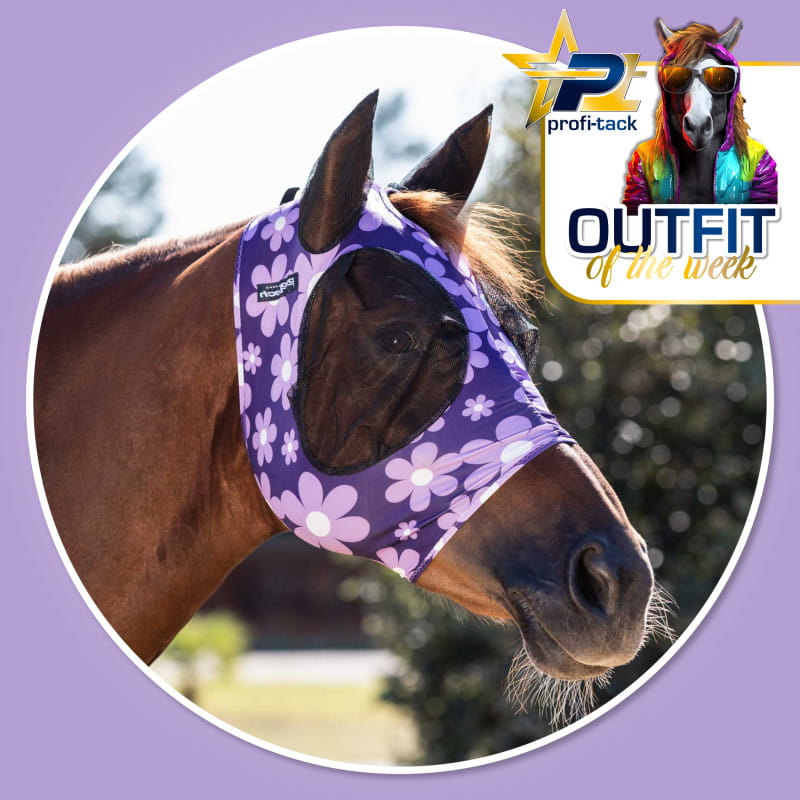 Pro-Tech Lycra Anti-Fly Mask with Ears Colorfull Flower